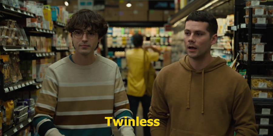 Twinless: Um Gêmeo a Menos