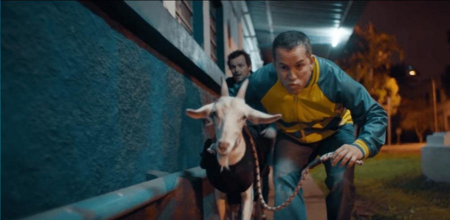 Cabras da Peste