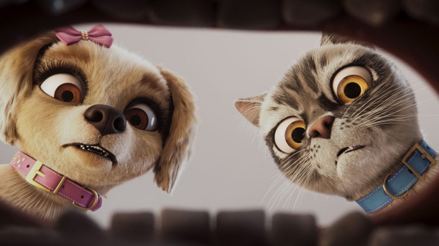 Pets em Ação