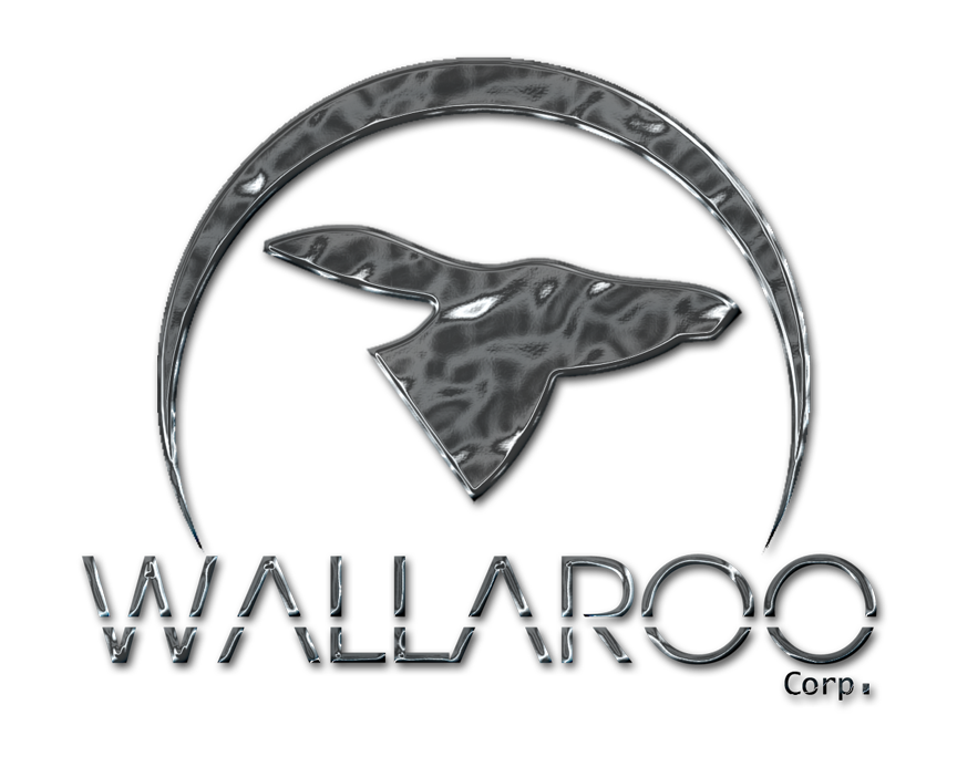 Você conhece a Walloroo Corp